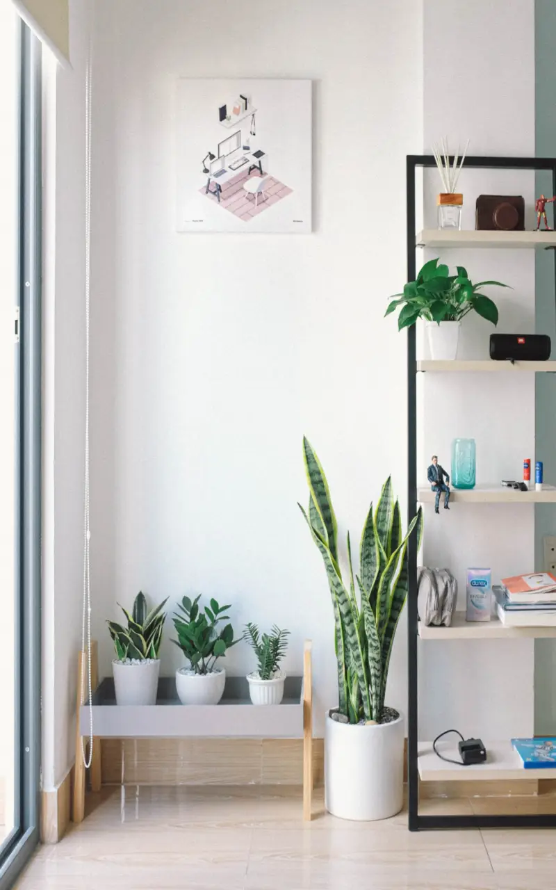 AF Interior Desinger in Dehradun